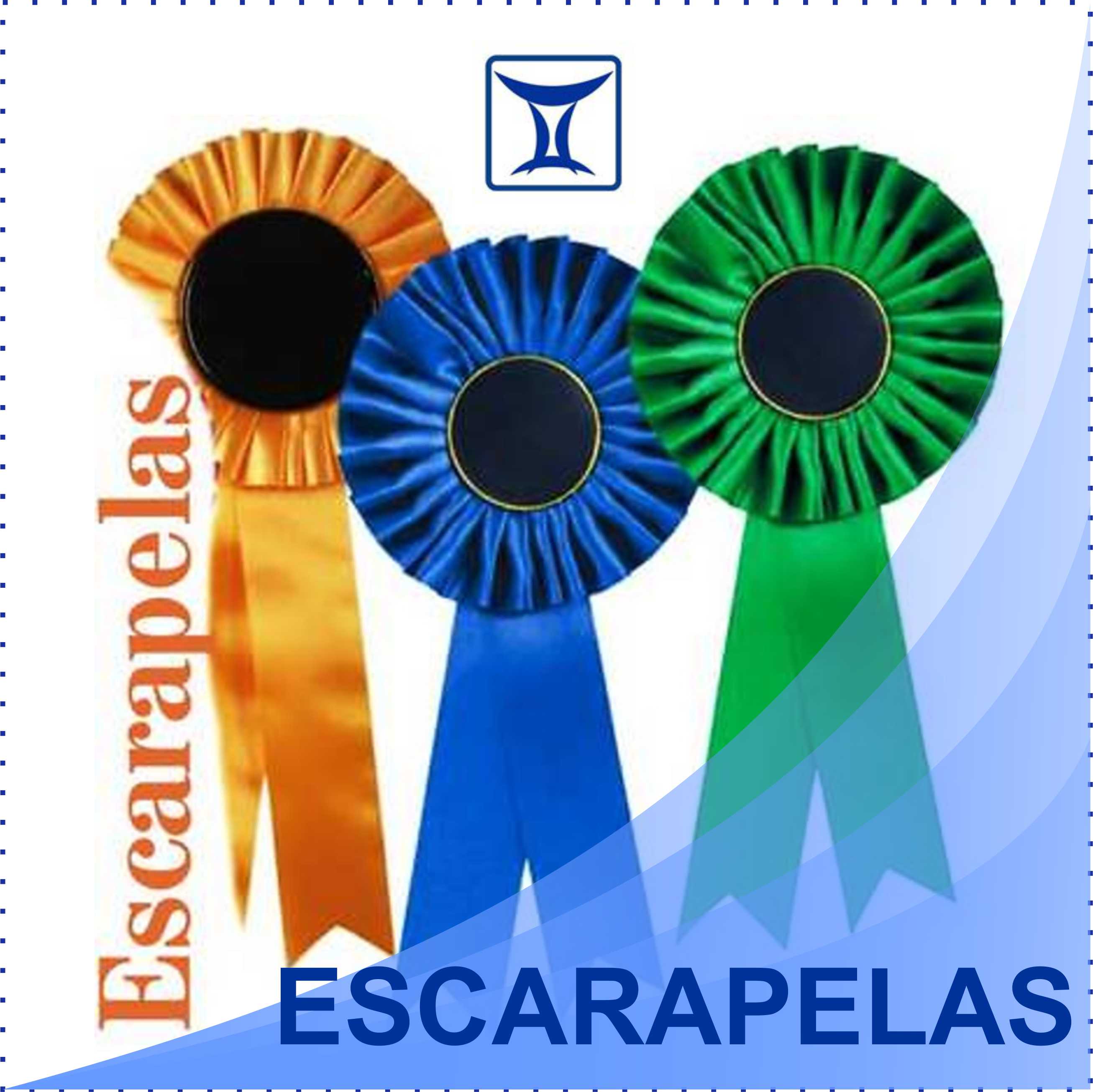 icono escarapelas