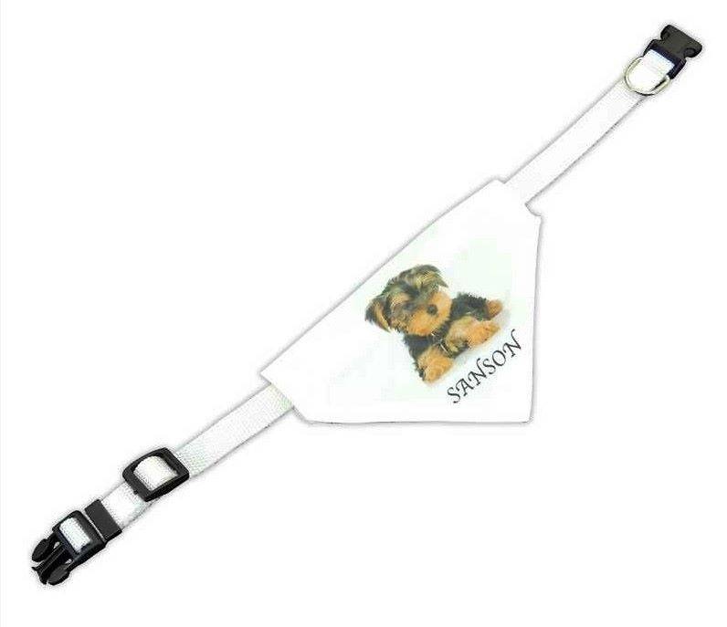 COLLAR PERSONALIZABLE PARA MASCOTA 