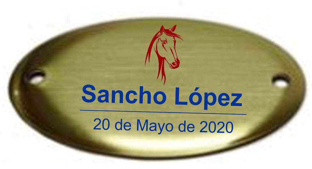 Chapa Laton Oval con Volumen Taxidermia 