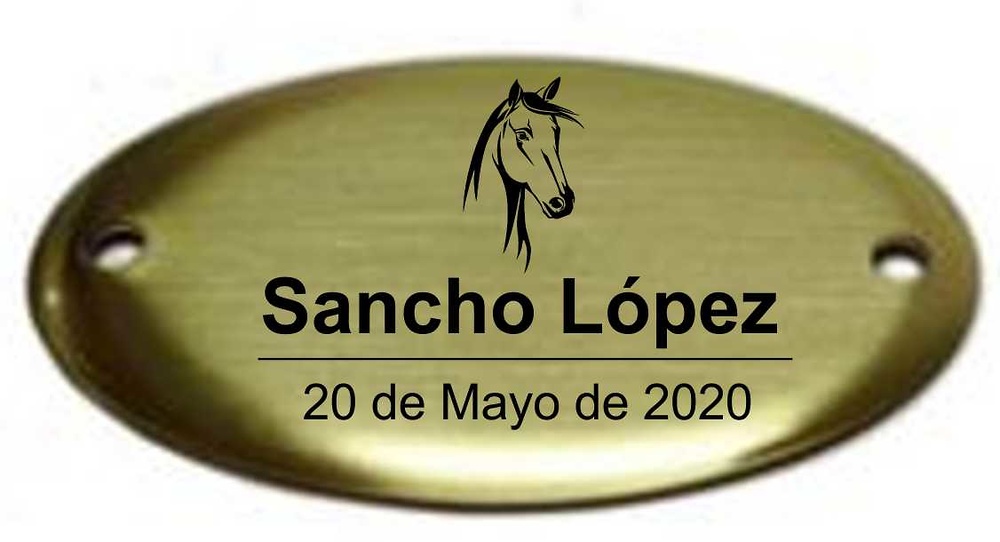 Chapa Laton Oval con Volumen Taxidermia 