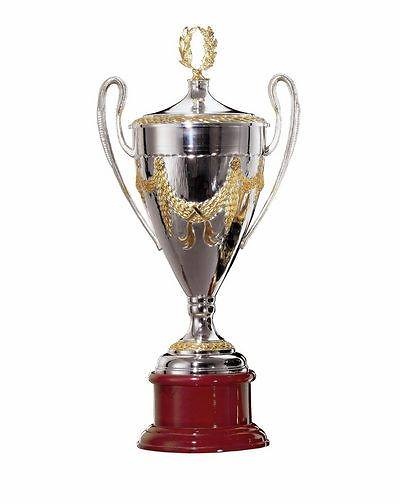 Copa Alheña Plata y Oro 