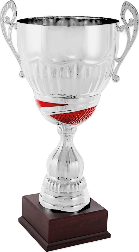 Copa Alta Plateada y Dorada con Asas 