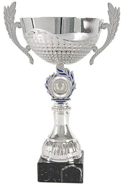 Copa Azul y Plateada Brunyola 