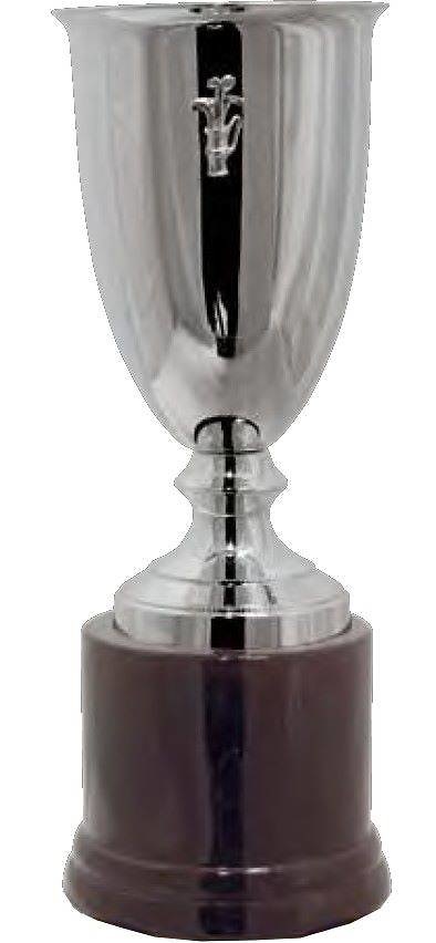 Copa Enebro Saco Golf 