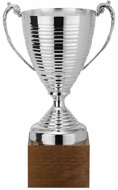 Copa Howea Línea Horizontal Plata 