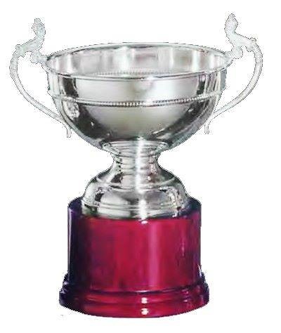 Copa Melissa Plateada Detalle Cuerda 