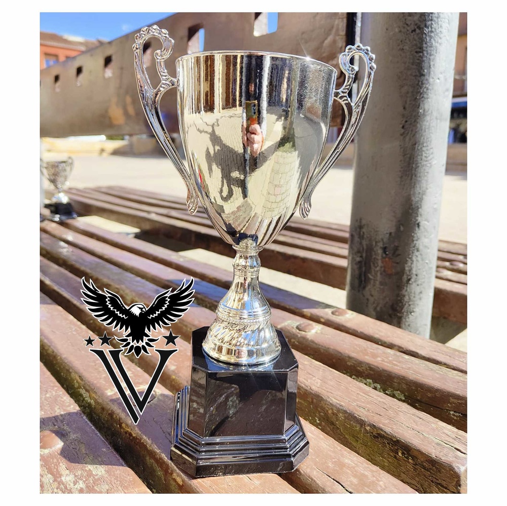 Copa calidad plateada con asas andalon 