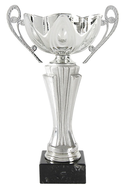Copa de Calidad Plateada ceramica 