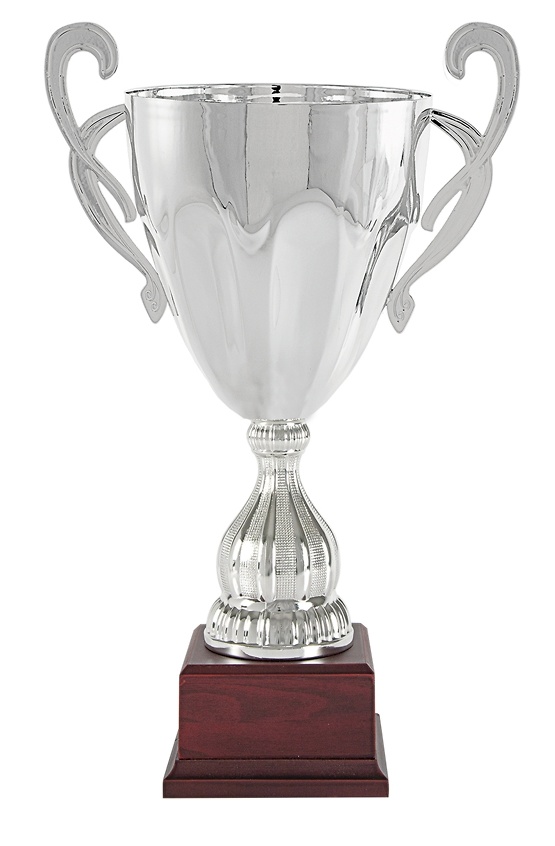 Copa economica plateada. Modelo loxicha 