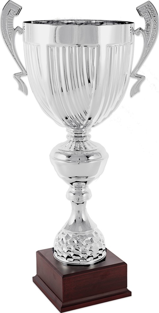 Copa economica plateada. Modelo teotilalpam 