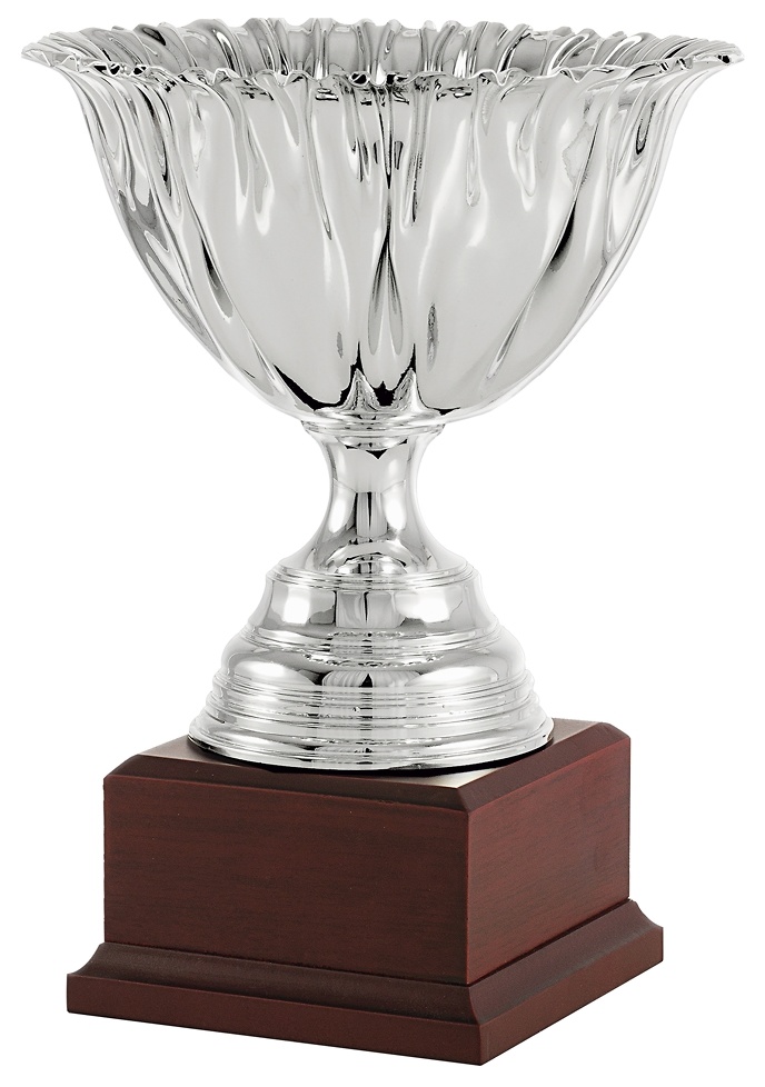 Copa economica promocion plateada. Modelo ajalpan 