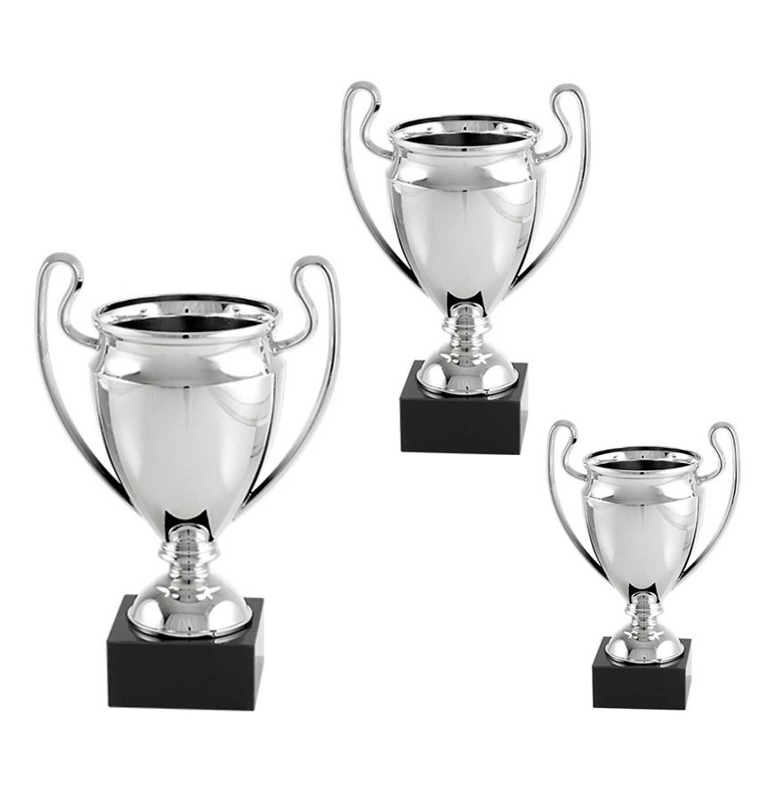 Copa economica promocion plateada. Modelo trujano 
