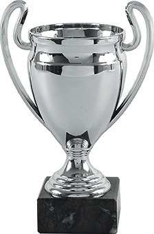 Copa economica promocion plateada. Modelo trujano 