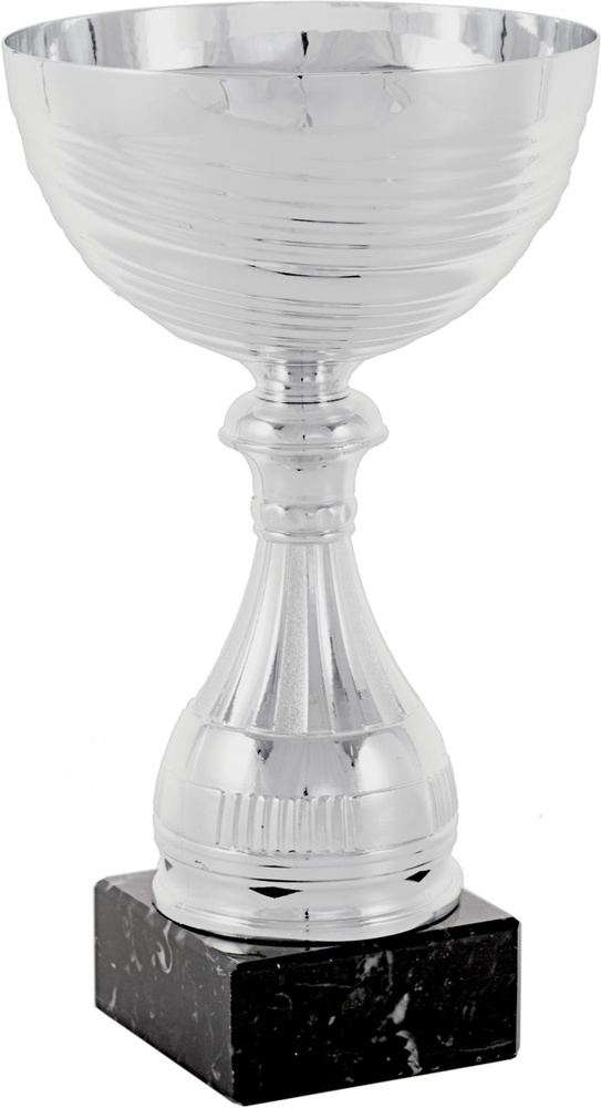 Copa plateada Burjassot 