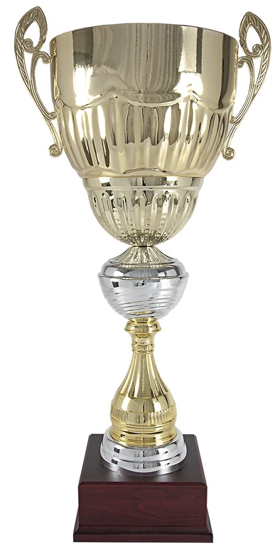 Copa plateada Dorada de Calidad osor 