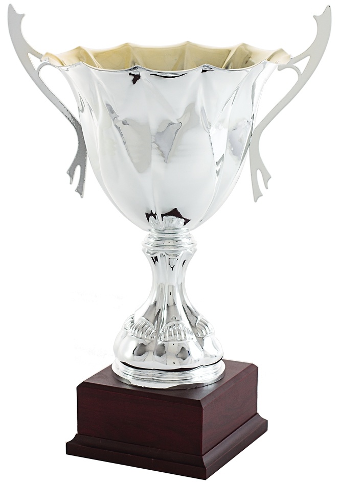Copa plateada Ecija 