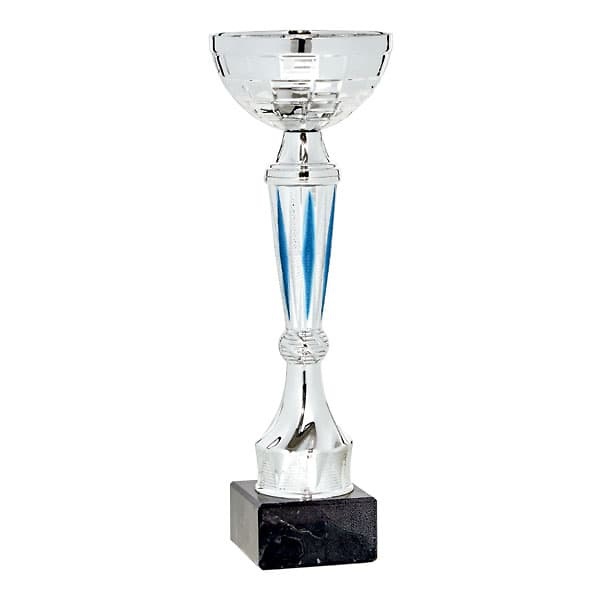 Copa plateada y azul clásica mister 