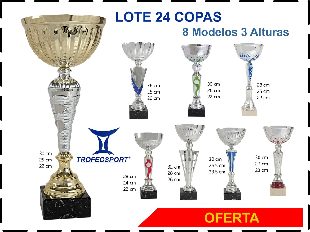 Lote de 24 copas Promoción Navares 