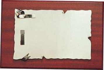 Placa conmemorativa alpaca 