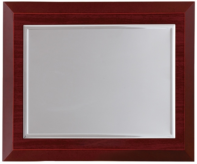 Placa conmemorativa de aluminio rectangular lisa 