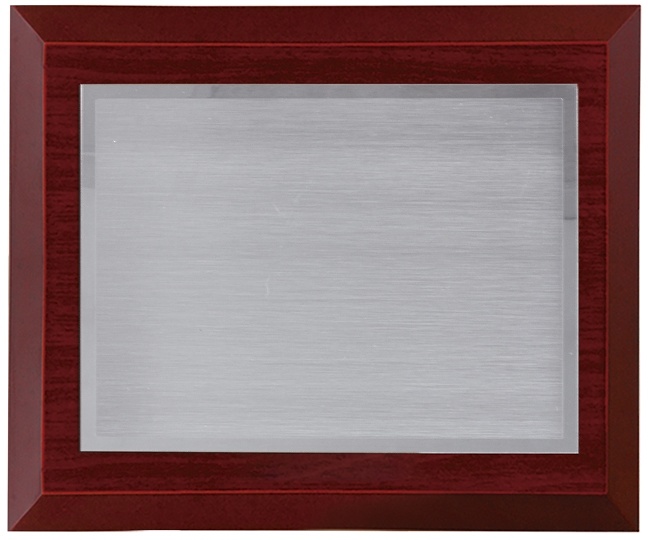 Placa conmemorativa plateada lisa 