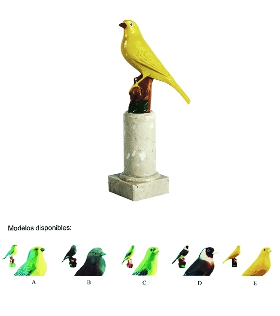 Trofeo Allariz de Aves 