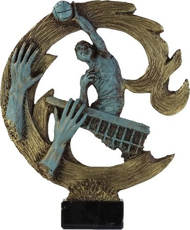 Trofeo Ane voleibol 
