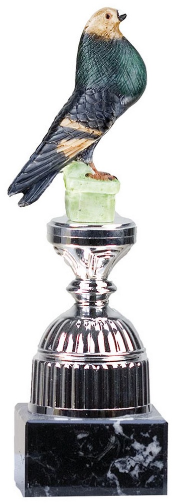 Trofeo Arismendi Paloma 