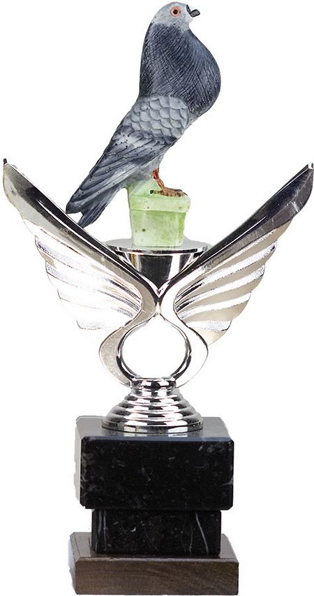 Trofeo Benitez Aves 
