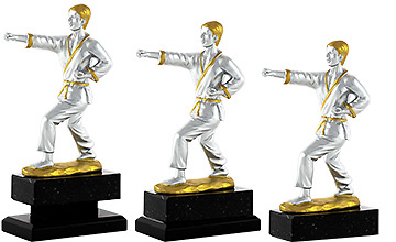 Trofeo Bustelo de karate 