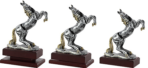 Trofeo Caballo a color. 