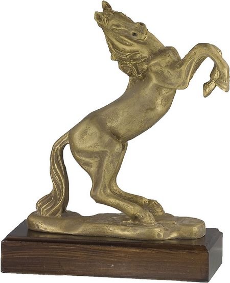Trofeo Carora Caballos 