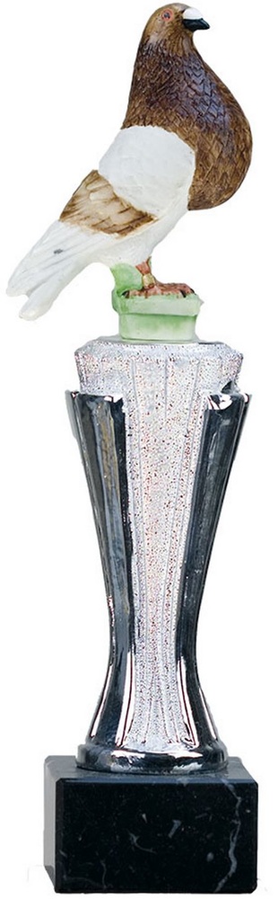 Trofeo Casanay Aves 