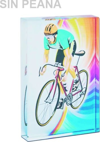 Trofeo Icono de Cristal Chozas 