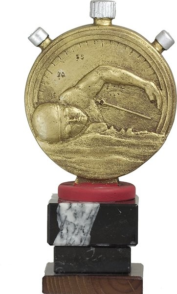 Trofeo Nadador Dorado Cronometro 22 cm 