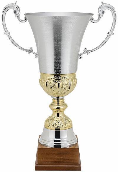 Copa Abrótano Moteada Bicolor 