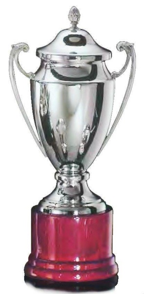 Copa Actinidia Plata piña 