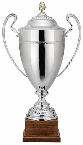 Copa Agave Asas Punteadas 