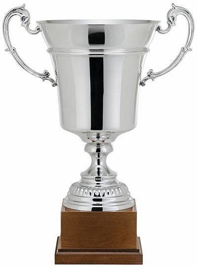 Copa Aralia Plata Clásica Punteada 