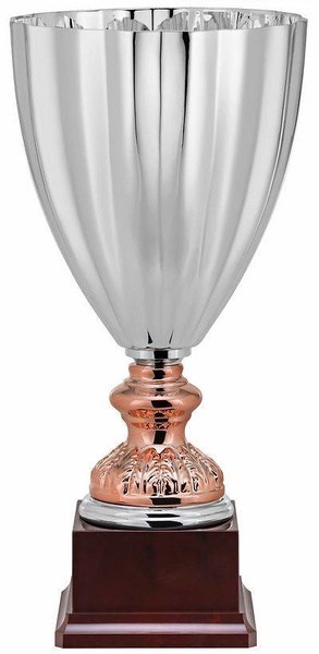 Copa Araucaria Plata y Ocre 