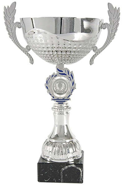 Copa Azul y Plateada Brunyola 