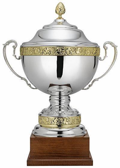 Copa Dedicua Ensaladera Bicolor 