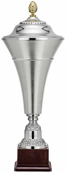 Copa Dipsacuss Línea Cuerda Plata 