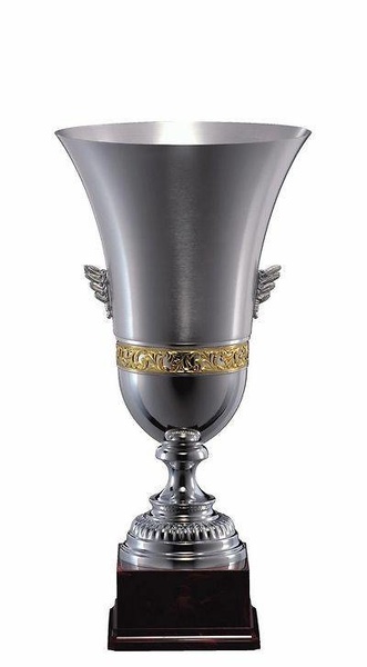 Copa Espinar Matizado Plateado 
