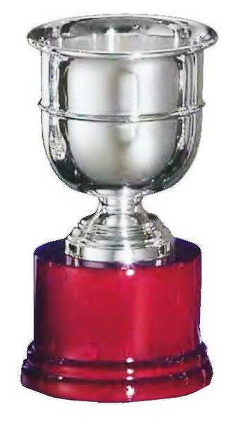 Copa Lilor Línea Lisa Plata 