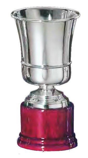 Copa Limonun Plata Línea inferior 