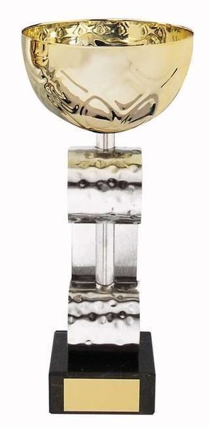 Copa dorada y plateada 