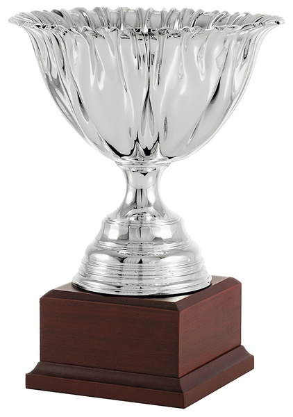 Copa economica promocion plateada. Modelo ajalpan 