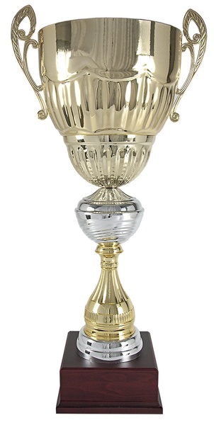 Copa plateada Dorada de Calidad osor 