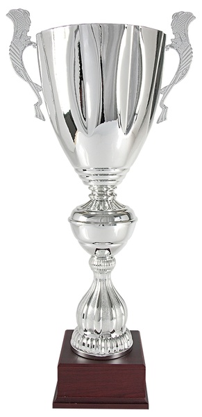 Copa plateada brilo slomo 